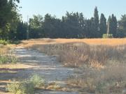 Terreno, Churriana La Noria, Málaga