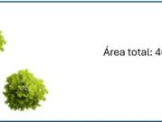Terreno, Cidade Da Maia, Maia | BPI Expresso Imobiliário