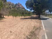 Terreno, Cieza