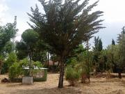 Terreno, Ciudad Real