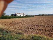 Terreno, Ciudad Real