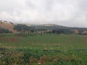 Terreno, Ciudad Real