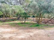 Terreno, Ciutadella de Menorca