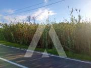 Terreno, Coimbrão, Leiria | BPI Expresso Imobiliário