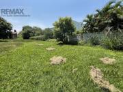 Terreno, Col. Granjas Mérida, Temixco, Morelos Cesión de...