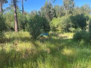 Terreno, Colares, Sintra | BPI Expresso Imobiliário