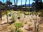 Terreno, Colares, Sintra | BPI Expresso Imobiliário