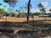 Terreno, Colares, Sintra | BPI Expresso Imobiliário