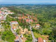 Terreno, Colmeias e Memória, Leiria | BPI Expresso...