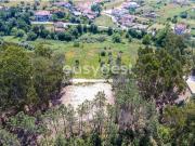 Terreno, Colmeias e Memória, Leiria | BPI Expresso...