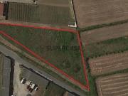 Terreno com 10 000 m2