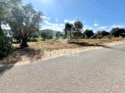 Terreno com 1132m2 sito em Mourã junto ao centro de Leiria