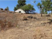 TERRENO COM 113.000 M2 COM ÁGUA ELETRICIDADE ESTUFAS... TERRENO COM 113.000 M2 COM ÁGUA ELETRICIDADE ESTUFAS...