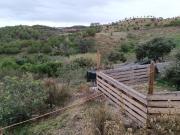TERRENO COM 11.360 M2 ALCARIAS GRANDES AZINHAL CASTRO...