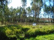 Terreno com 1493 m2 para Construção de Moradia em...