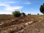 TERRENO COM 18150M2 FOROS DO CARRAPATAL CANHA MONTIJO