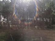 Terreno com 1860m2 com projeto aprovado em Pataias, Alcobaça