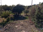 Terreno com 1.121m² na Serra dos Mangues, em São...