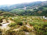 Terreno com 1.510m2 em Pedrado Fafe