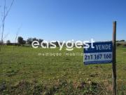 Terreno com 1,5ha em Rio de Moinhos C/ água