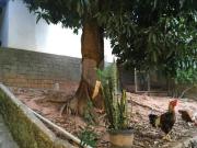 Terreno com 1 quartos à venda em Vila Barbosa SP