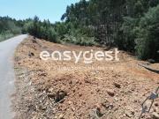 Terreno Com 2000 m2 em São Martinho do Bispo para Construção