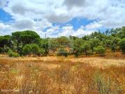 Terreno com 21 hectares serra e turismo perto das praias