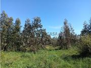 Terreno com 22.50m de frente para moradia Alquerubim /...