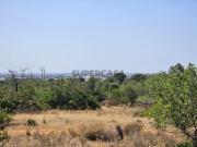 Terreno com 23280m2 e vista mar, com parcela urbana de 180m2