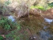TERRENO COM 23.440 M2 COM ESTUFAS LINHA D’AGUA TANOEIRO...
