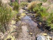 TERRENO COM 24.760 M2 CORTE ANTÓNIO MARTINS VILA NOVA DE...