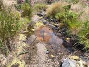 Terreno com 24.760 m2 corte antónio martins vila nova de...