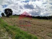 Terreno com 2560m2
