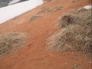 Terreno Com 275m² 11X25 Planissímo Documentos Em Ordem...