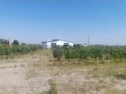 Terreno com 31.000m² em Algeruz Palmela