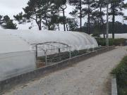 Terreno com 3285 m2 em Terroso Pvoa de Varzim