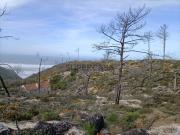 Terreno Com 37.000 m2 praia da Légua com Moradia frente mar