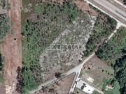 Terreno com 3831m² em Varziela, Cantanhede