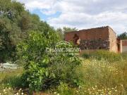 Terreno com 3900m2 c/ Projeto Aprovado em Calvos Algarve