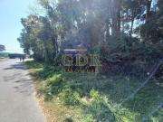 Terreno com 3.126m² Cajuru Curitiba PR