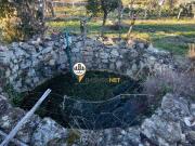 Terreno com 4000m2, venda, Escalos de Baixo /...