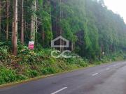 Terreno com 41.624,00 m2 Santo Amaro São Roque do Pico