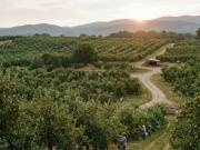 Terreno Estratégico com 4,27 Hectares Vale da Rosa /...