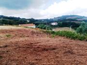 Terreno com 4560m2 na Almargem do Bispo Sintra