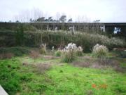 Terreno com 4,000 m2 para construção em altura