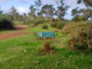 Terreno com 5000 m2, apto para agricultura situado em...