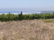 Terreno com 5551m2 vista mar Azoia Sesimbra