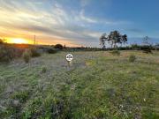 Terreno com 5750m2, Venda, Castelo Branco