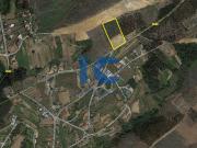 Terreno com 5.642 m² e 52,30 m de frente e Brunhido...