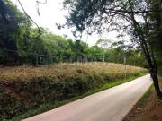 Terreno com 6.000 m² aproveitável na beira da pista em...